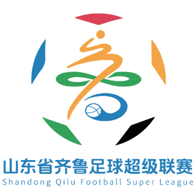 山东省齐鲁足球超级联赛 临沂队VS潍坊队20260705
