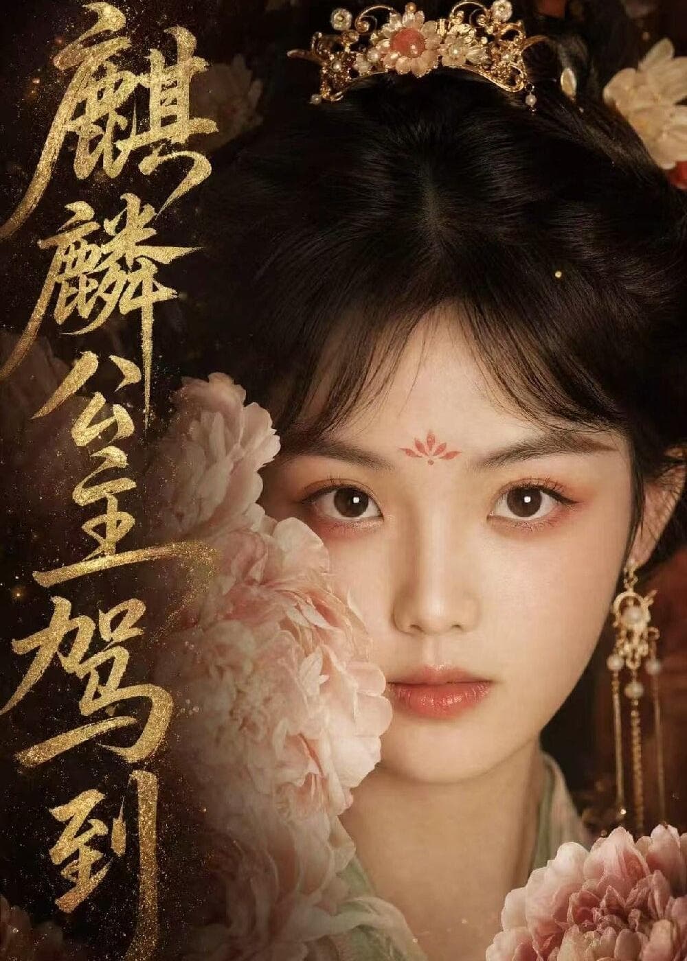 麒麟公主驾到-剧集封面